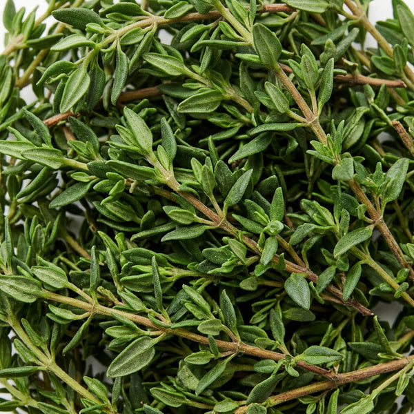 Thyme